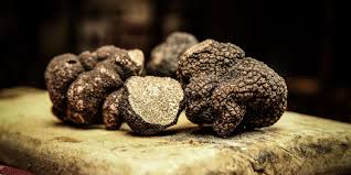Truffelweekend in de P�rigord